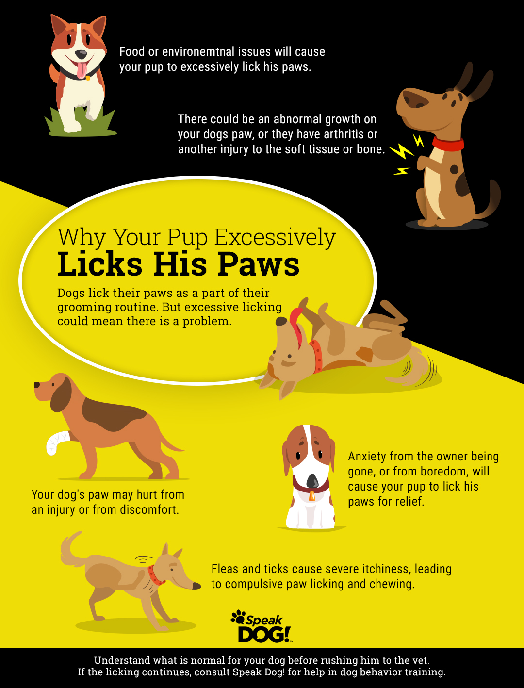 Dog Behavior Training Why Your Pup Excessively Licks Their Pups